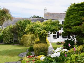 The Haven - Crantock - 5