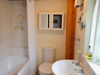 Watercolour Cottage - Lerryn - 1