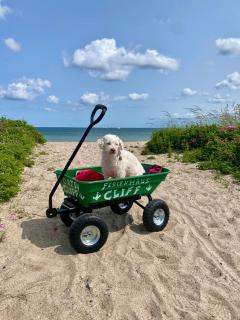 Ferienhaus Cliff Olpenitz - 8