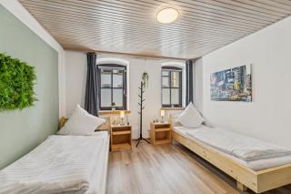 2BR, 4 Beds, TV, Kitchen & free parking - Eschenbach in der Oberpfalz - 6