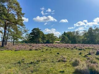 The Cottage At Dockens Water - Fritham - 3