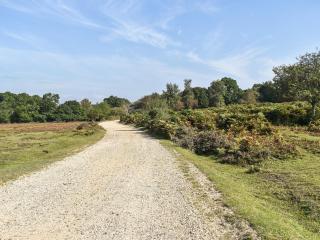 The Cottage At Dockens Water - Fritham - 2