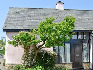 Peartree Cottage - Northlew - 8