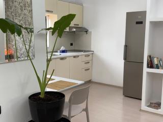 An apartment with fireplace - Tirana - 8
