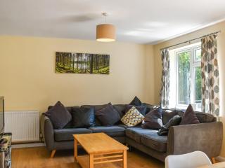 Honey Lodge - Gunnislake - 8