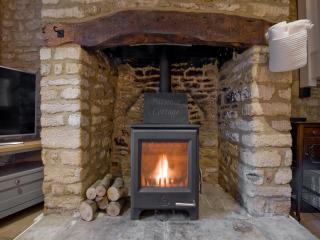 Patience Cottage - Idbury - 8