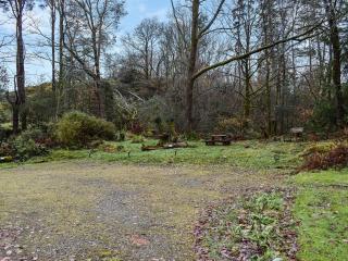 Beeches - 9