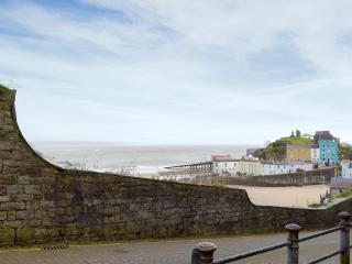 Little Fishes - Tenby - 4