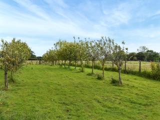 Swallow Cottage - Uk47528 - Roxby - 1