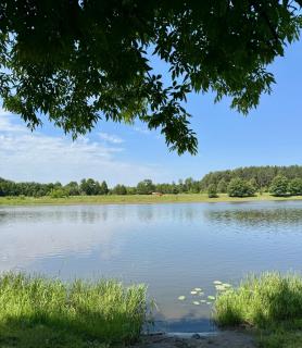 Leśne zacisze nad Narwią - - 9