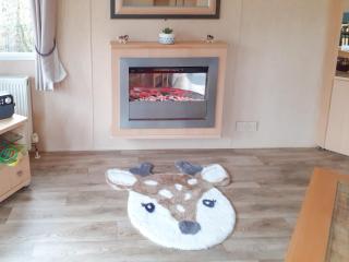 Doggy Dell - Motcombe - 7