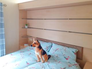 Doggy Dell - Motcombe - 5