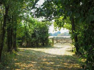 Treetops - Uk49523 - Saint Lawrence - 7