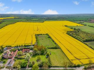 Treetops - Uk49523 - Saint Lawrence - 1