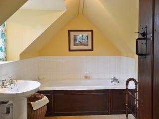 Mill Cottage - Mathon - 2