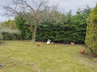 Bumbles Barn - Slamannan - 2
