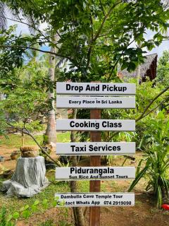 Nature Rest Ashored - Sigiriya - 4