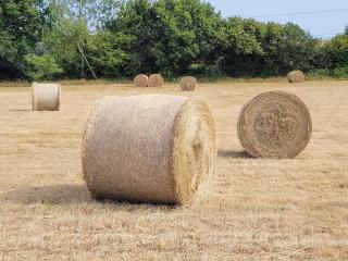 Lakeview Lodge- Uk40692 - Crowhurst - 4