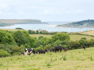 The Linhay - Little Petherick - 3