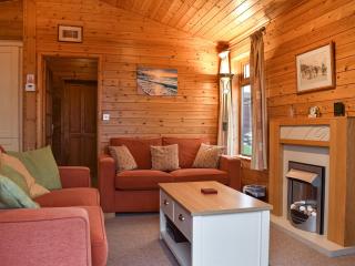Pine Lodge - Ilfracombe - 6