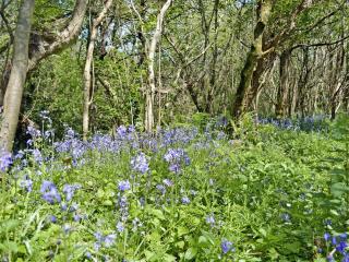 Jacks Barn - Hssu - Welcombe - 8