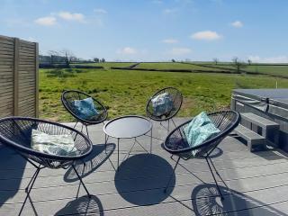 The Old Tractor Shed - Uk49681 - Witheridge - 4