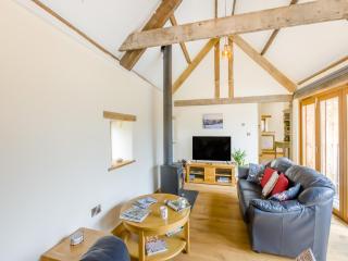 Olive Barn - Witheridge - 7
