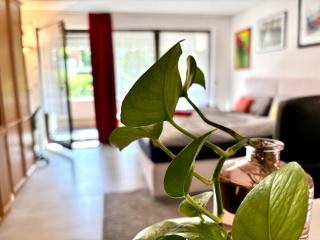 Natural and urban living in Nuremberg - Norimberga - 2