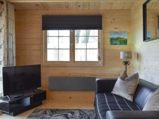Pinewood Cabin - Saline - 2