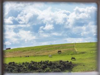 Lucklaw Steading Cottage - Logie - 1