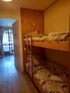Bel appartement Samoens La Cour classe 2 etoiles - Samoëns - 3