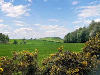 Smiddy Cottage - Alyth - 4