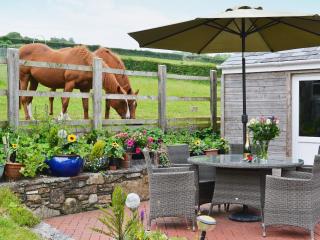 Beacon Cottage - Ivybridge - 6