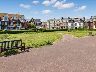 Sandy Paws - Gorleston-on-Sea - 3