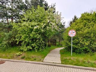 Dunes Trail 4 - Melnragė - 2