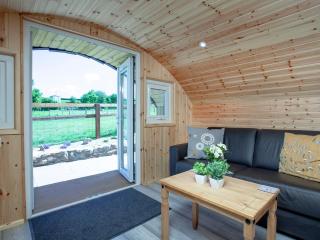 Glamping Pod 2 - Ipplepen - 9