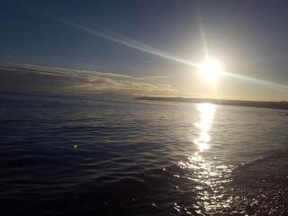 Little Gem - Kirkcaldy - 1