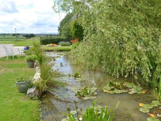 Ash Garth Cottage - Kirby Misperton - 4