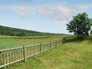 Moorhouse Farm Cottage - Hovingham - 4