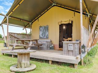 Muntjac - Uk47396 - Bawdeswell - 8