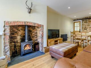 Hidden Winds Cottage - Guisborough - 9