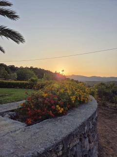 Villa Paradisos Archangelos - Archangelos (Arcangelo) - 5