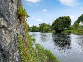 Lisset - Newton Stewart - 1