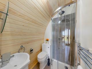 Leri - Uk46065 - Llancynfelyn - 3