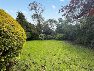 Arden - Glenluce - 0