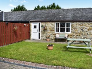 Goldfinch Cottage - Uk47698 - Haydon Bridge - 8