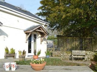 Ty Newydd Cottage - Hoel-galed - 7