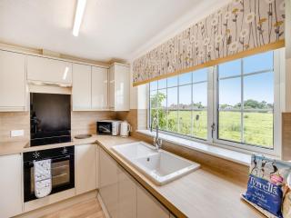 Chestnut - Uk47375 - Burgh le Marsh - 5