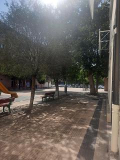 Josemaenea 2 - 9