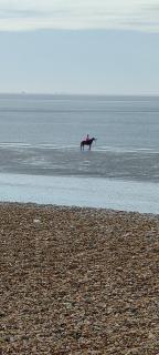 Guest suite 50m from the beach - Bognor Regis - 6